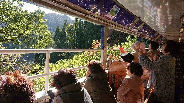 トロッコ列車から見える紅葉を写真に納める会員たち
