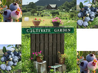 Cultivate-Garden看板